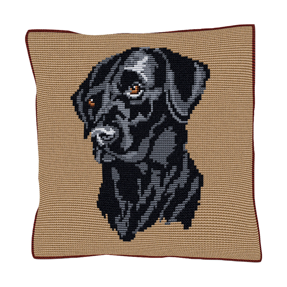 Black Labrador Cushion Tapestry Kit Brigantia Needlework